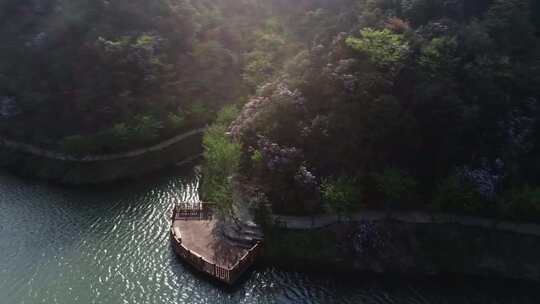 巍峨大山花海加云海古寺