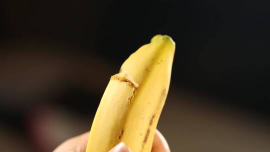 拿起一根香蕉剥香蕉皮视频素材模板下载
