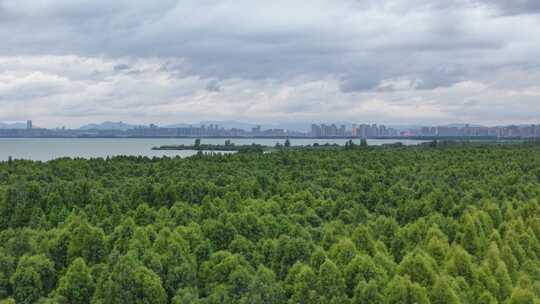 捞鱼河湿地公园