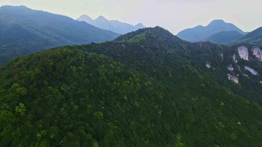 重庆五里坡国家级自然保护区葱坪全景