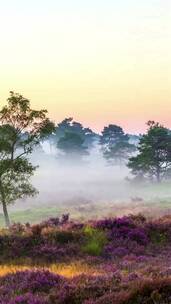 自然风景，治愈系风景，唯美意境，人间仙境