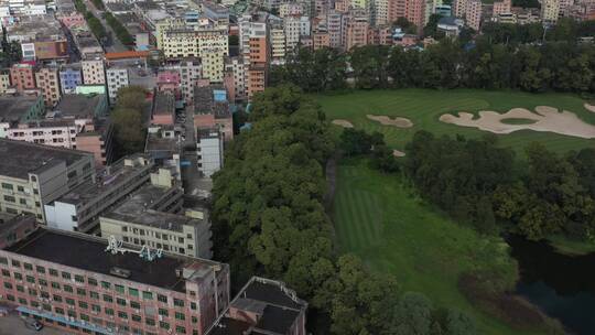 航拍广东深圳城市绿化