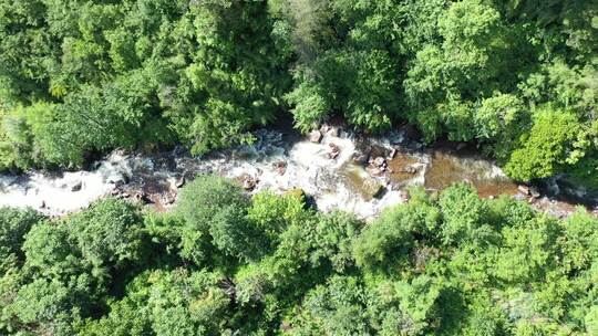 森林高山溪水河流树林雨林岩石湖泊航拍素材视频素材模板下载