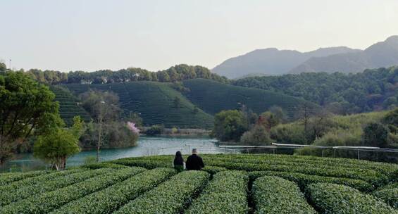 杭州茶山光明寺水库航拍素材集锦