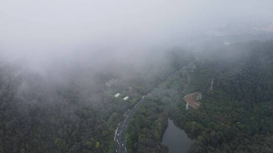 雨雾中的山林