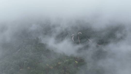 山间航拍云南楚雄大姚三台山路老树