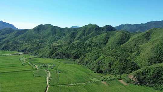 【航拍】乡村振兴新农村  绿水青山