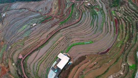 航拍梯田田园风光