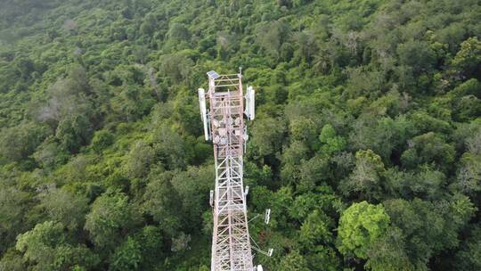 森林农村地区的电信塔