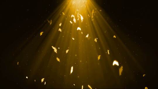 《羽毛》舞蹈背景视频高清在线视频素材下载