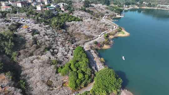 中国广东省广州市从化区广州流溪梅花节