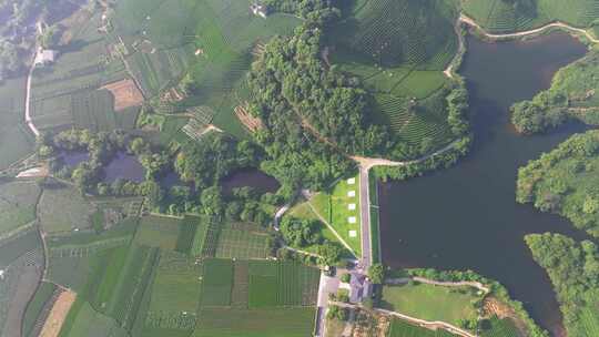 杭州龙坞茶园 光明寺水库