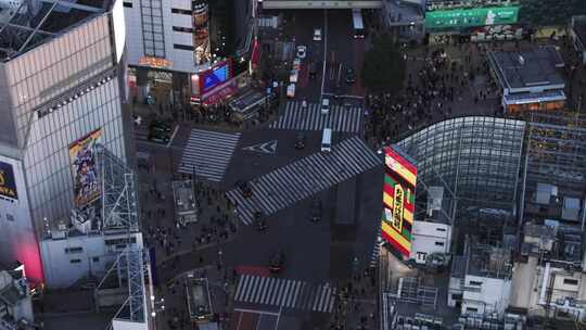 涩谷十字路口，东京，建筑物，城市