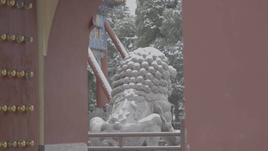 北京雪景 北京下雪