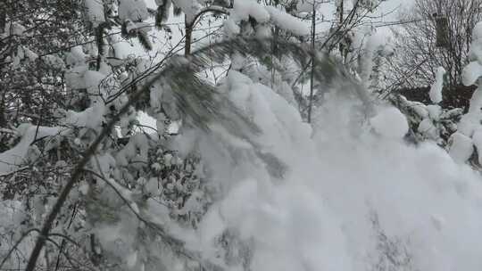 航拍特写被大雪覆盖的森林鹅毛大雪雾凇