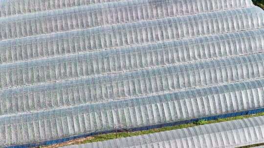 航拍农业大棚种植基地