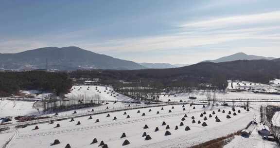 冬日雪后田野景象