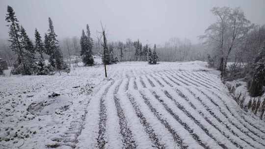 寒潮冬天下雪的村庄田野