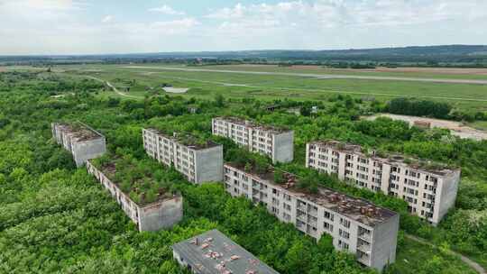 匈牙利Sarmellek村废弃住宅区的鸟