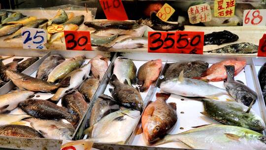 市场上的新鲜活鱼