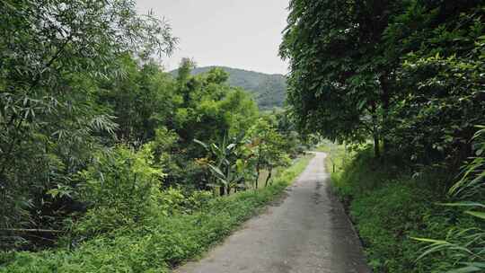 【正版素材】农村小路乡道乡村