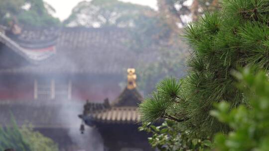 浙江普陀山普济寺禅院建筑4K实拍视频