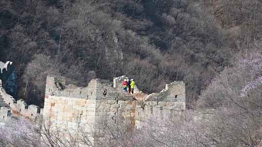 北京春天明长城遗址城墙早晨风光