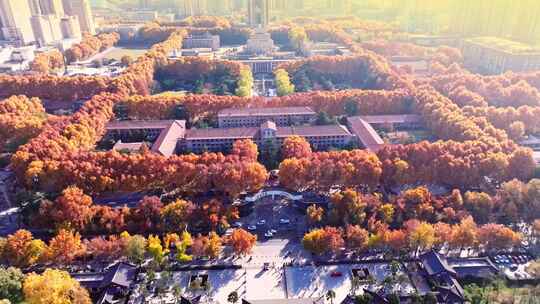 西安交通大学秋景