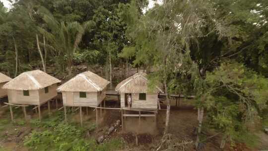 雨林边缘的小木屋和河流天线