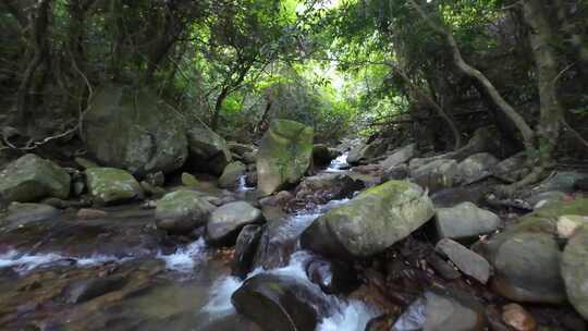 穿越机航拍深圳梧桐山麻水凤林间溪谷