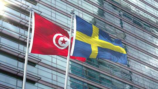 突尼斯国旗vs瑞典国旗