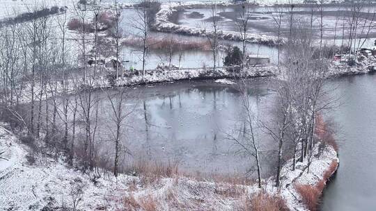 航拍乡镇池塘雪景鸟类捕食飞翔湿地栖息地视频素材模板下载