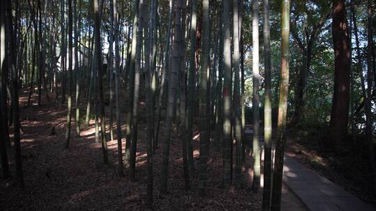 杭州西湖宝石山风景视频