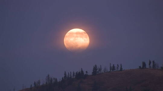 橙色的月亮从山脊后面升起