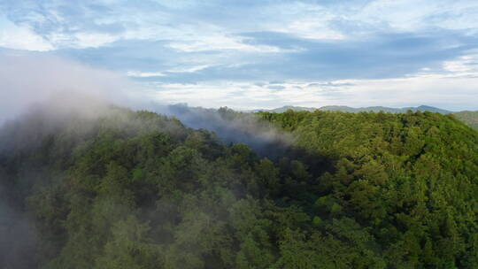 云雾缭绕的绿色火山口