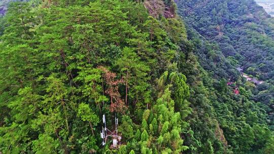 福建南平武夷山航拍