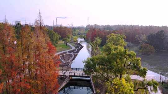 上海共青森林公园秋景