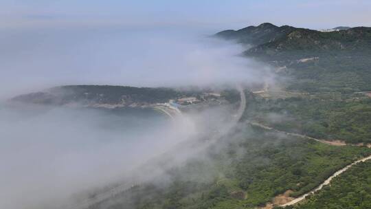 航拍青岛/国家湿地公园