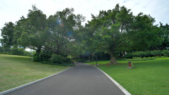 公园跑道林荫大道林间小路