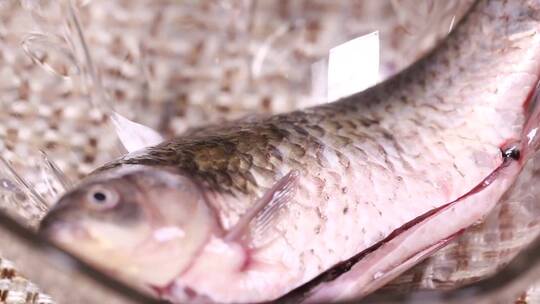 【镜头合集】腌制鱼肉去腥加调料入味视频素材模板下载