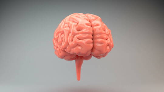 医学 大脑 脑科学 三维 脑ct1 模型