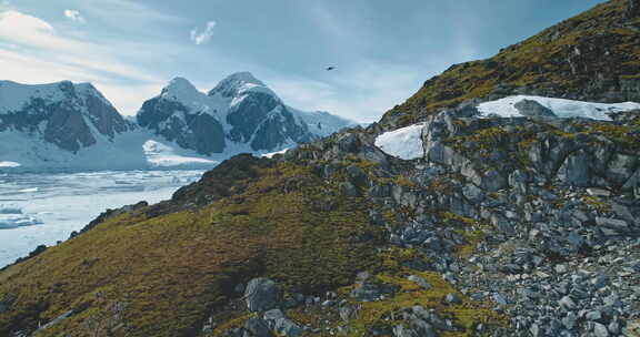山岩苔藓与远足游客在南极景观
