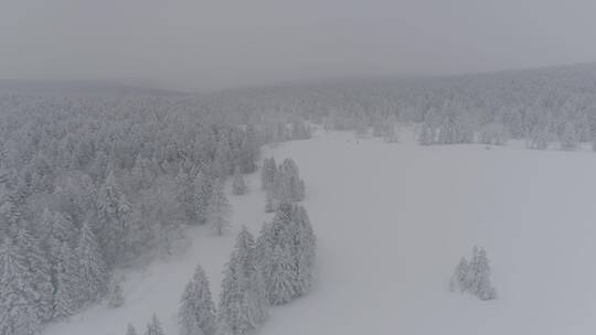 震撼大气唯美长白山冬季雪景厚厚积雪