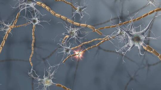 神经元神经系统神经细胞3D三维动画视频素材模板下载