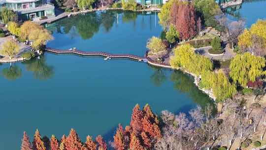 航拍深秋初冬徐州云龙湖风景区,红色水杉