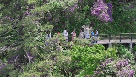 河南伏牛山山脉平顶山尧山层峦叠嶂的山峰