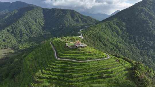 西藏墨脱县背崩乡格林村高山茶园风光航拍