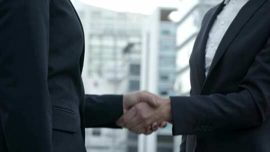 专业商人为交易、协议和成功理念握手