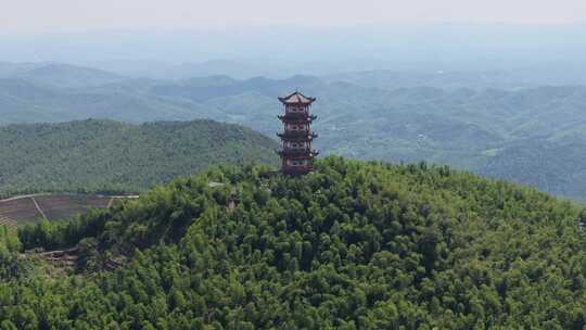 蓝天白云 航拍湖南衡阳蔡伦竹海 远山空镜