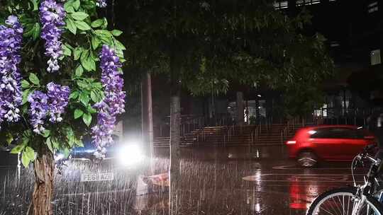 打着伞在雨中行走的人